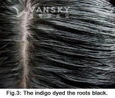 231006132840_Hair-Dyed with indigo-s.jpg